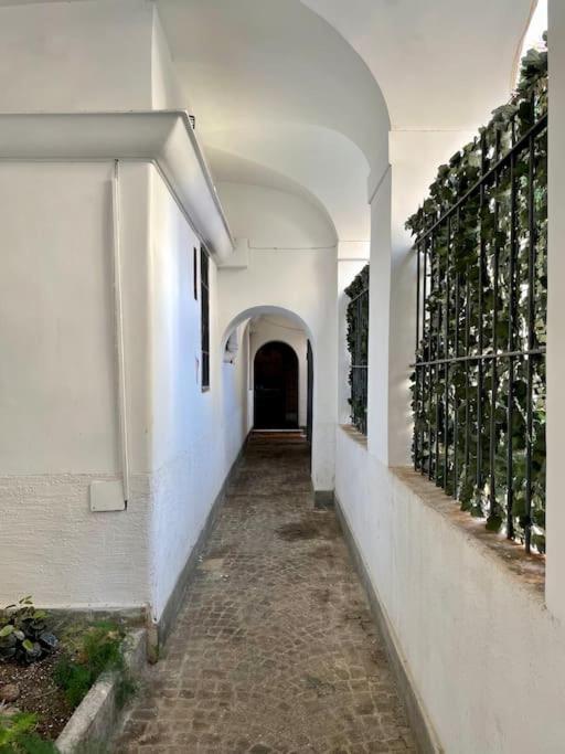 Lovely In Via Della Scala, Trastevere Apartment Rom
